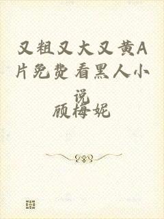 又粗又大又黄A片免费看黑人小说