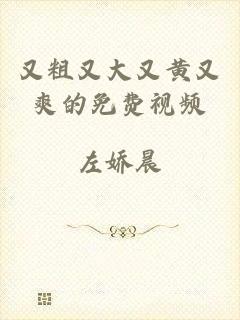 又粗又大又黄又爽的免费视频