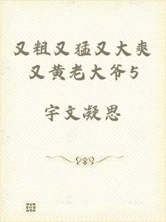 又粗又猛又大爽又黄老大爷5