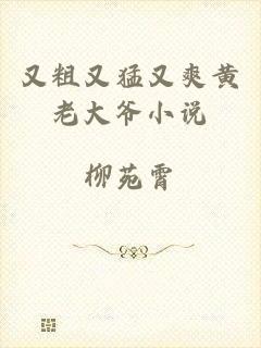 又粗又猛又爽黄老大爷小说