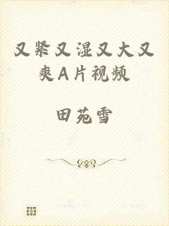 又紧又湿又大又爽A片视频