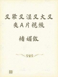又紧又湿又大又爽A片视频
