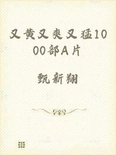又黄又爽又猛1000部A片