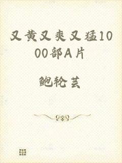 又黄又爽又猛1000部A片