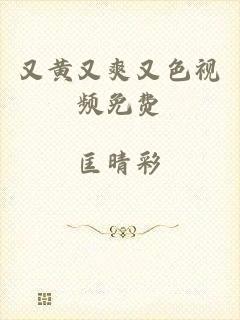 又黄又爽又色视频免费