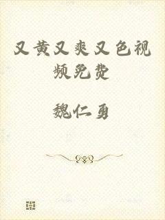 又黄又爽又色视频免费