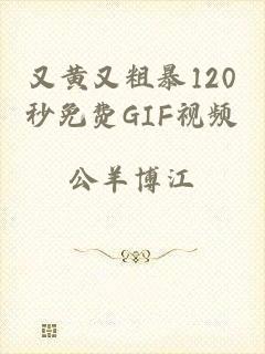 又黄又粗暴120秒免费GIF视频