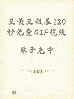 又黄又粗暴120秒免费GIF视频