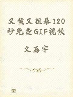 又黄又粗暴120秒免费GIF视频