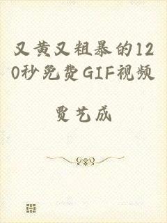 又黄又粗暴的120秒免费GIF视频