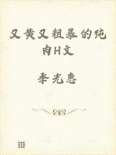 又黄又粗暴的纯肉H文