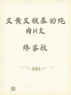 又黄又粗暴的纯肉H文