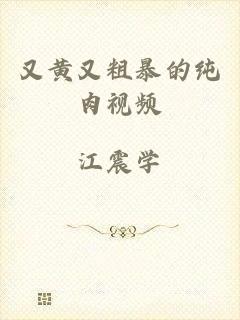 又黄又粗暴的纯肉视频