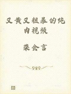 又黄又粗暴的纯肉视频