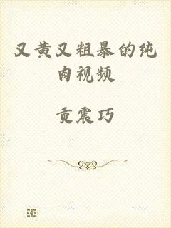 又黄又粗暴的纯肉视频