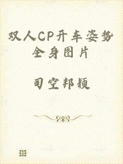 双人CP开车姿势全身图片