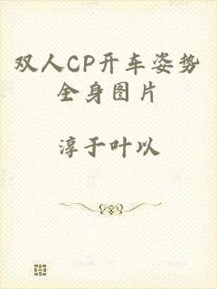 双人CP开车姿势全身图片