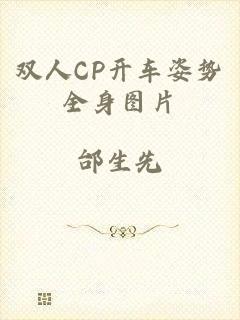 双人CP开车姿势全身图片