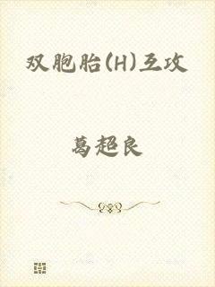 双胞胎(H)互攻