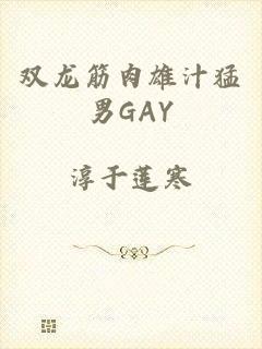 双龙筋肉雄汁猛男GAY