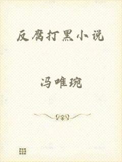 反腐打黑小说