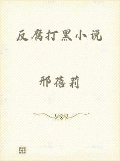 反腐打黑小说