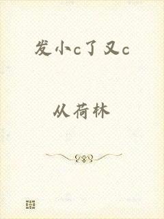 发小c了又c