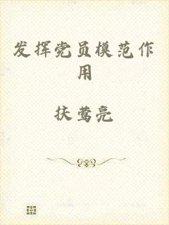 发挥党员模范作用