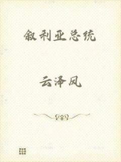 叙利亚总统