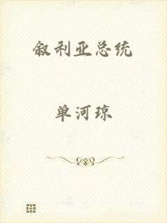 叙利亚总统