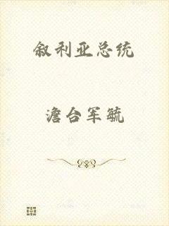 叙利亚总统