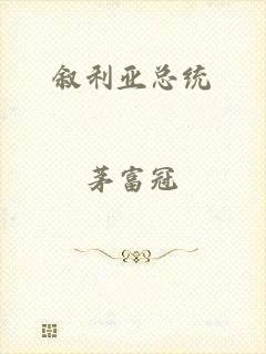 叙利亚总统