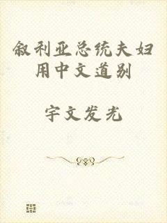 叙利亚总统夫妇用中文道别