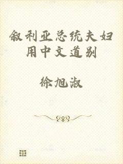 叙利亚总统夫妇用中文道别
