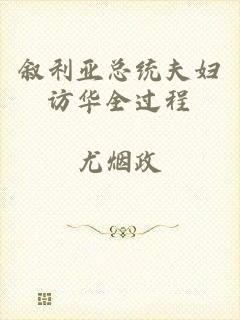 叙利亚总统夫妇访华全过程