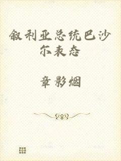 叙利亚总统巴沙尔表态