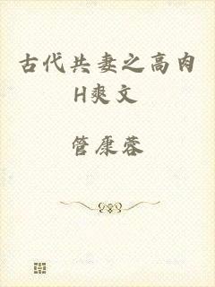 古代共妻之高肉H爽文