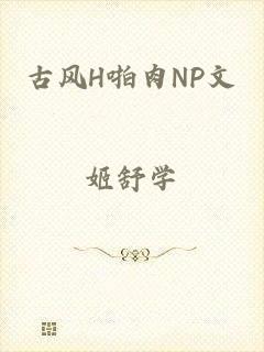 古风H啪肉NP文