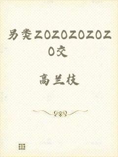另类ZOZOZOZOZO交