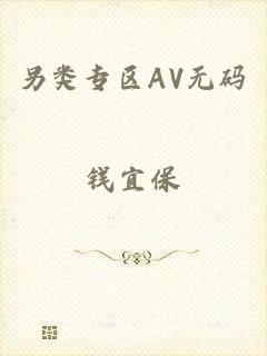 另类专区AV无码