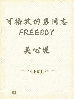 可播放的男同志FREEBOY