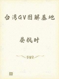 台湾GV图解基地