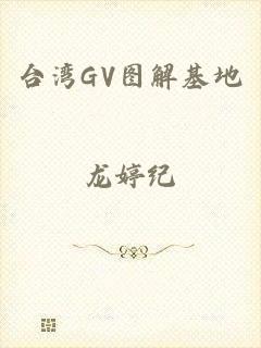台湾GV图解基地