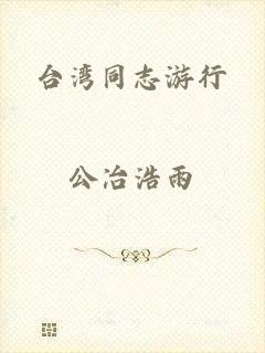 台湾同志游行