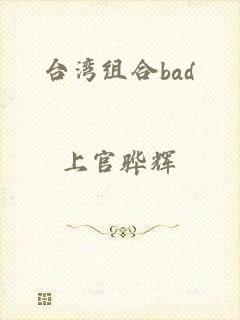台湾组合bad