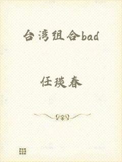 台湾组合bad