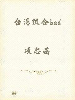 台湾组合bad