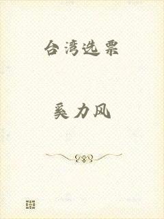 台湾选票