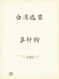 台湾选票