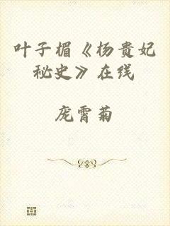 叶子楣《杨贵妃秘史》在线